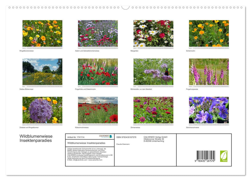 Wildblumenwiese Insektenparadies (CALVENDO Wandkalender 2025)