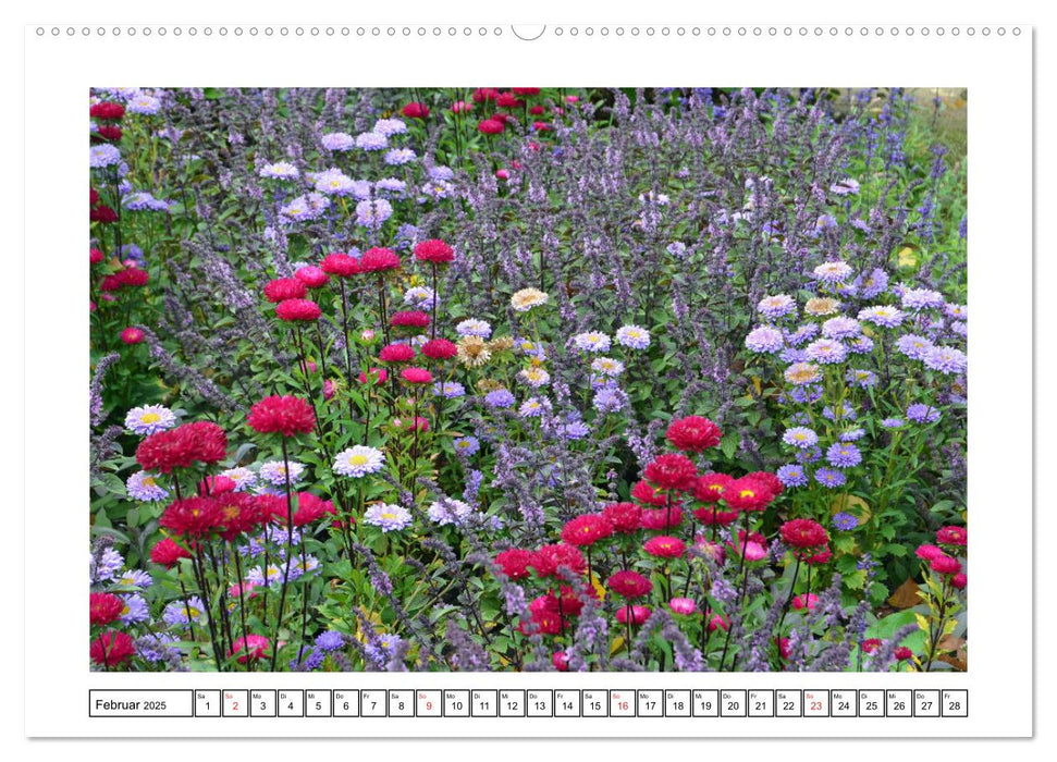 Wildblumenwiese Insektenparadies (CALVENDO Wandkalender 2025)