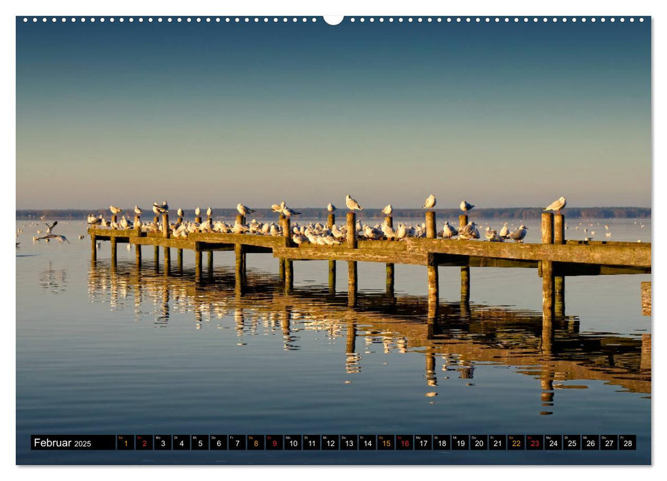 Steinhuder Meer - Steinhude (CALVENDO Premium Wandkalender 2025)