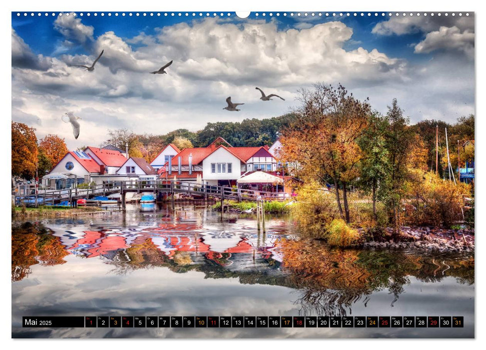 Steinhuder Meer - Steinhude (CALVENDO Premium Wandkalender 2025)