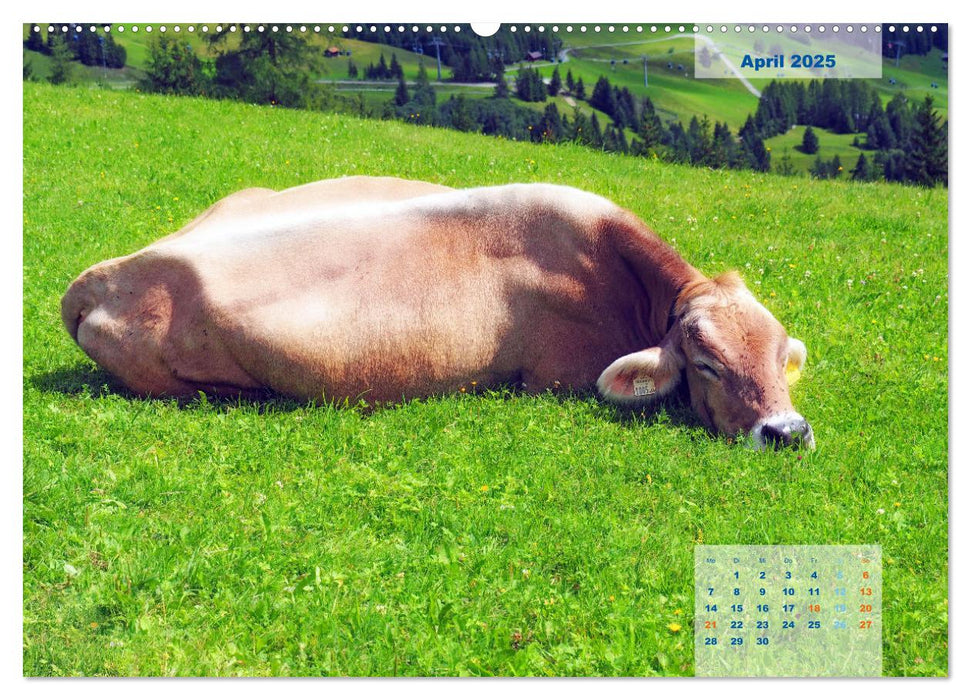 ALLGÄU, im Wandel der Jahreszeiten. (CALVENDO Premium Wandkalender 2025)