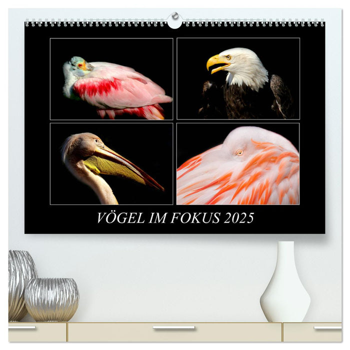 Vögel im Fokus 2025 (CALVENDO Premium Wandkalender 2025)