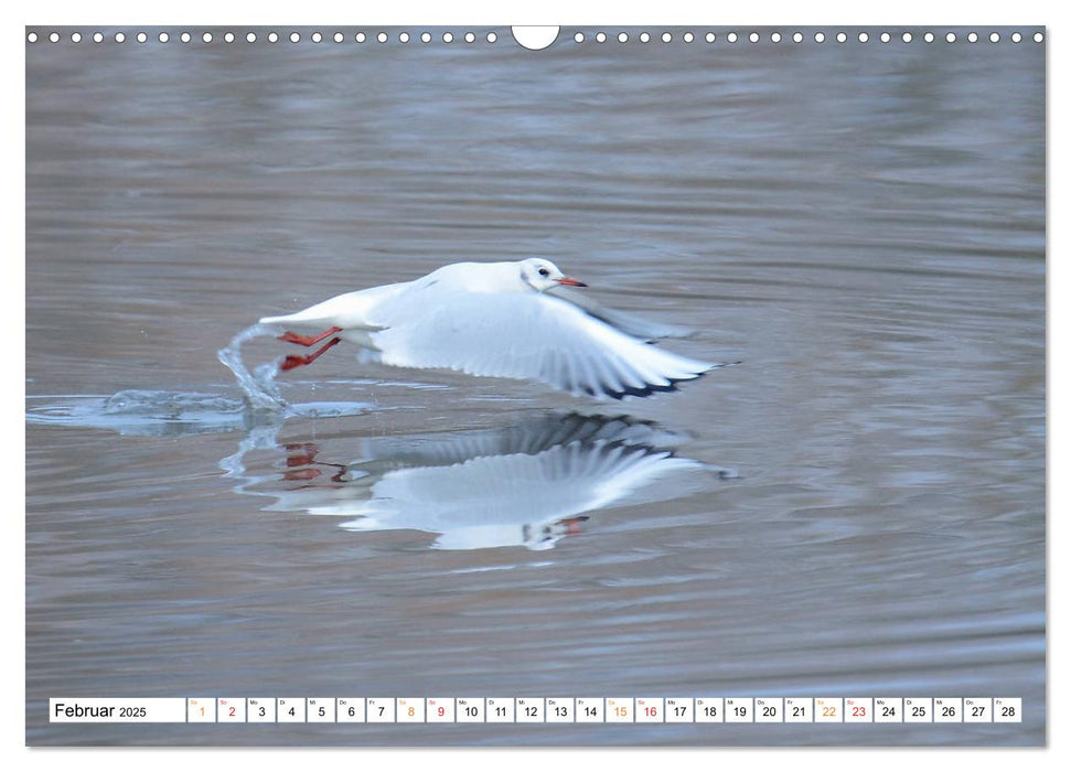 Tiere, die das Wasser zum Leben brauchen. (CALVENDO Wandkalender 2025)