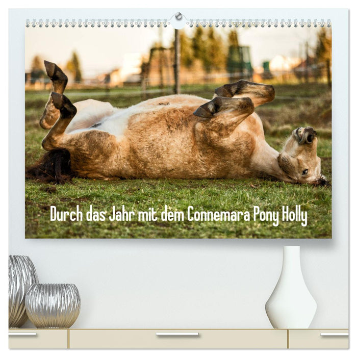 Durch das Jahr mit dem Connemara Pony Holly (CALVENDO Premium Wandkalender 2025)