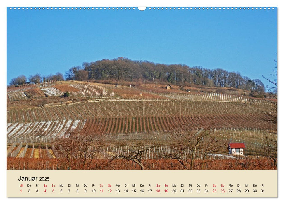 Entlang der Bergstraße Burgen, Wein und Fachwerk (CALVENDO Wandkalender 2025)