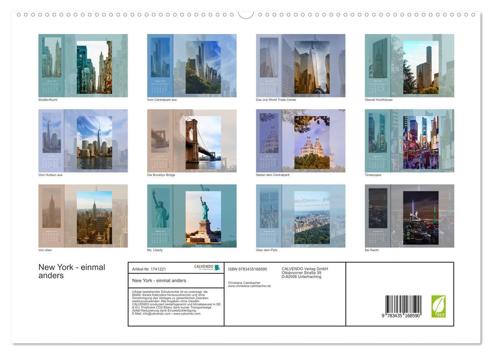 New York - einmal anders (CALVENDO Premium Wandkalender 2025)