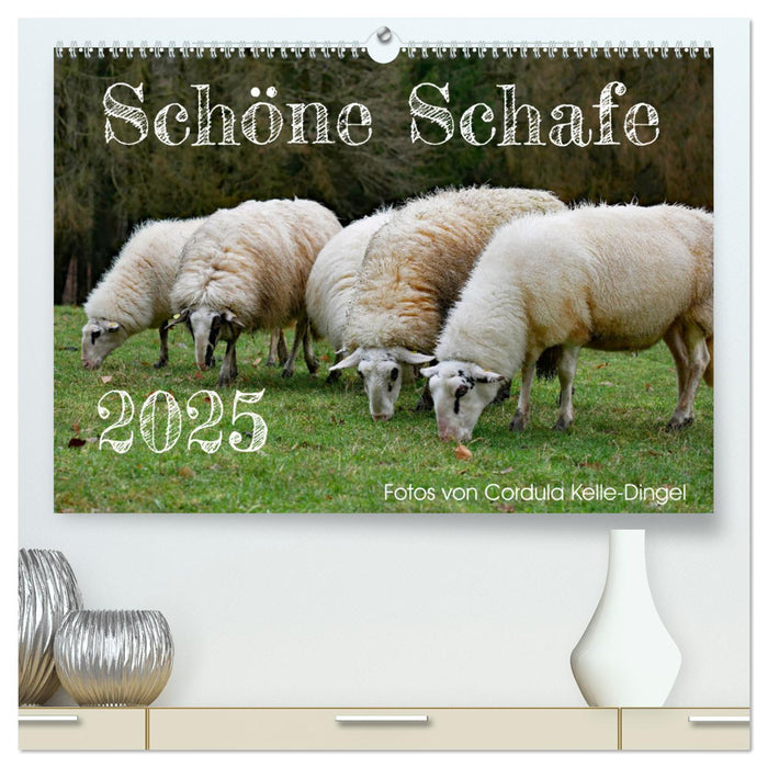 Schöne Schafe (CALVENDO Premium Wandkalender 2025)