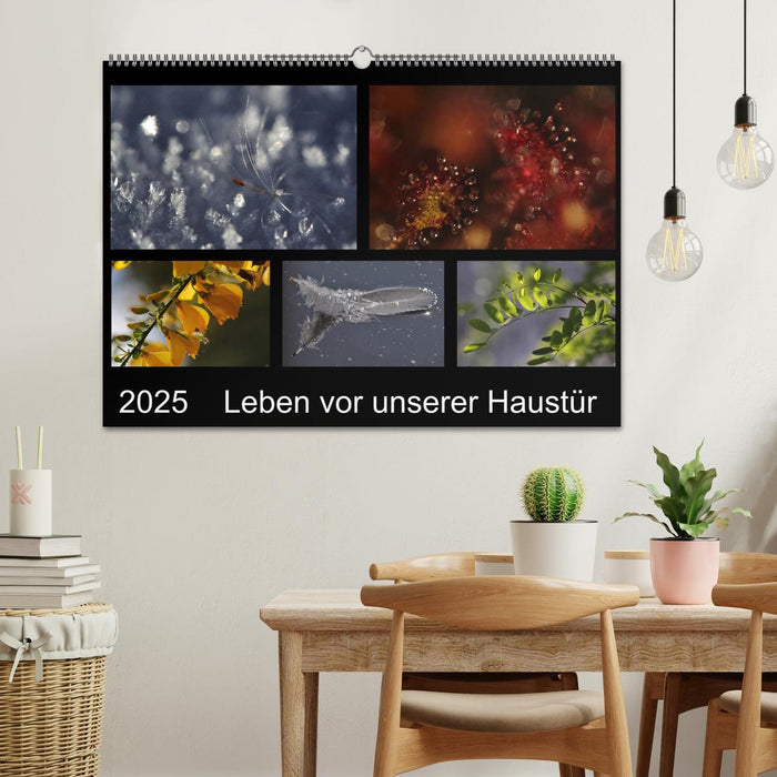 Leben vor unserer Haustür (CALVENDO Wandkalender 2025)