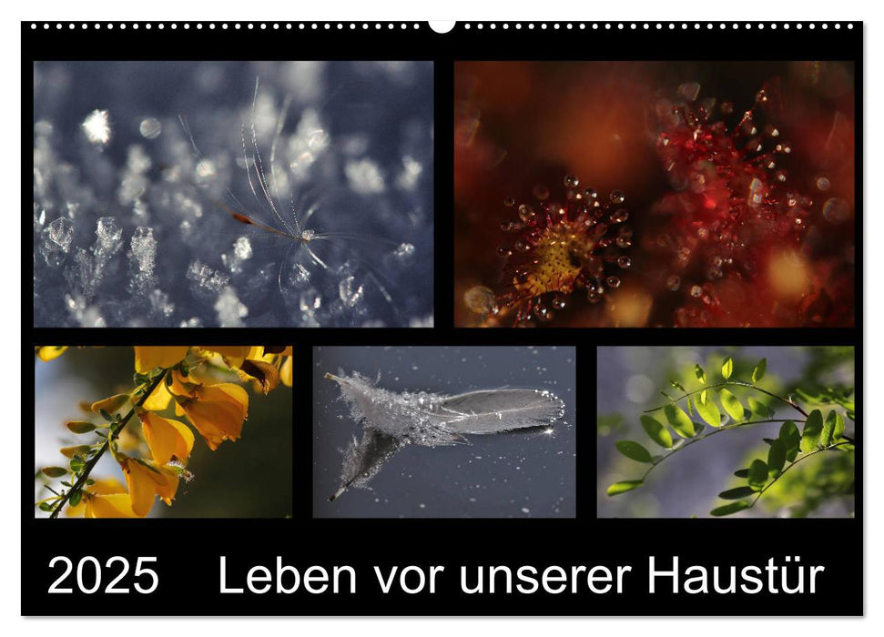 Leben vor unserer Haustür (CALVENDO Wandkalender 2025)