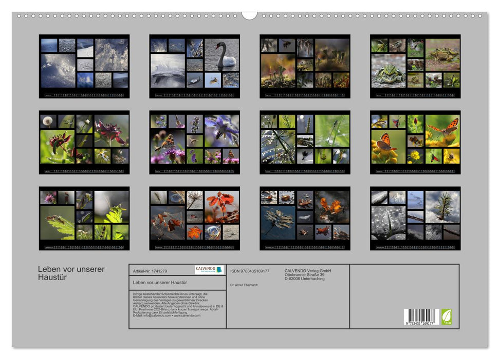 Leben vor unserer Haustür (CALVENDO Wandkalender 2025)