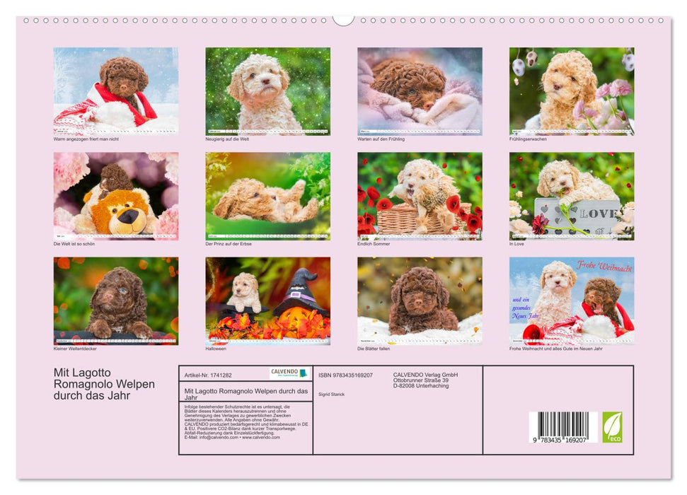 Mit Lagotto Romagnolo Welpen durch das Jahr (CALVENDO Premium Wandkalender 2025)