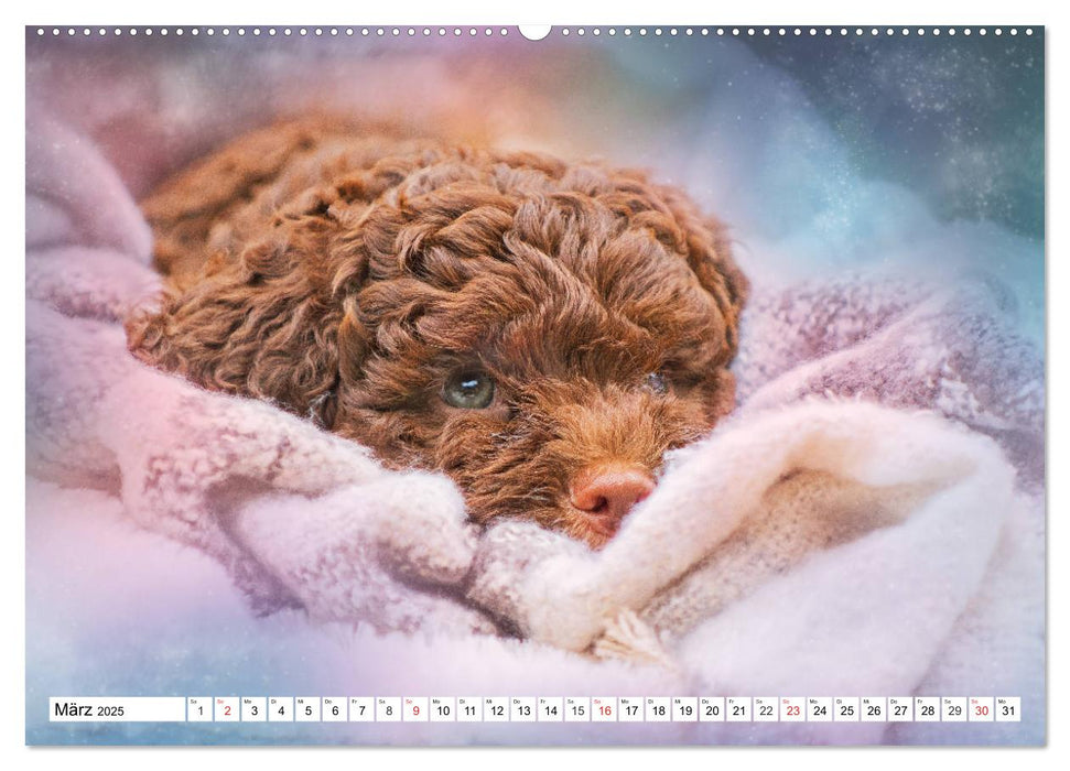 Mit Lagotto Romagnolo Welpen durch das Jahr (CALVENDO Premium Wandkalender 2025)