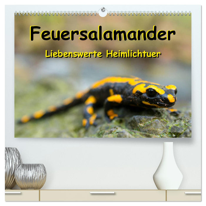 Feuersalamander - Liebenswerte Heimlichtuer (CALVENDO Premium Wandkalender 2025)