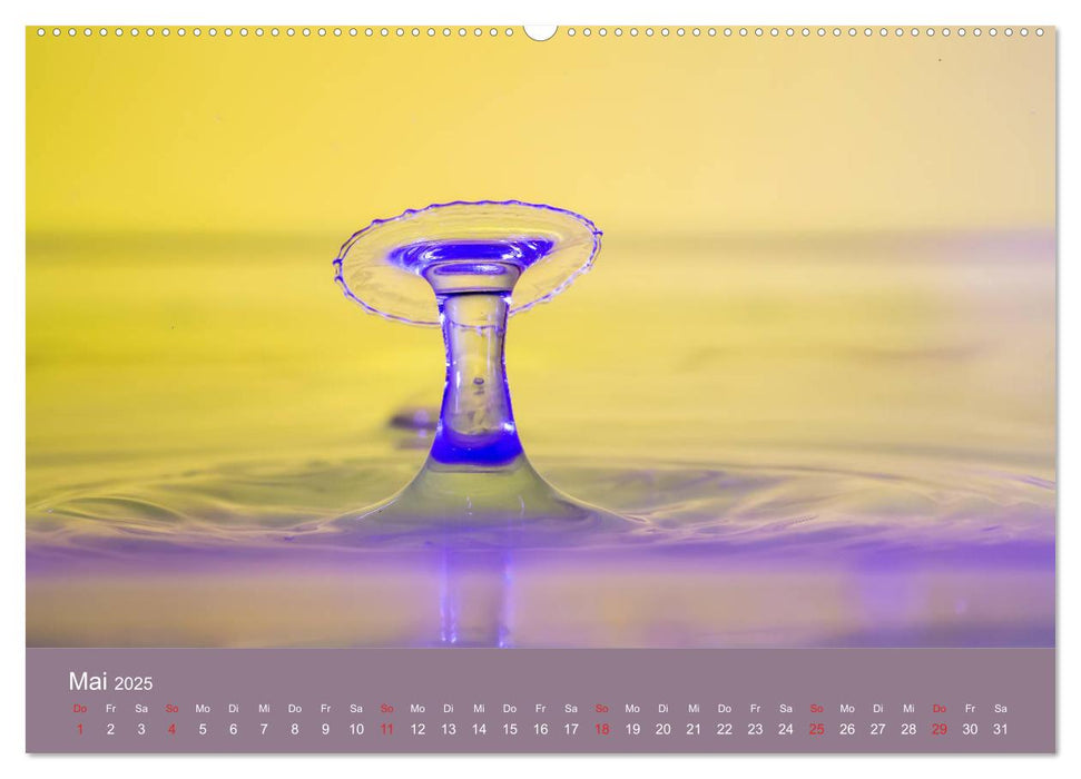 Watersplash (CALVENDO Premium Wandkalender 2025)