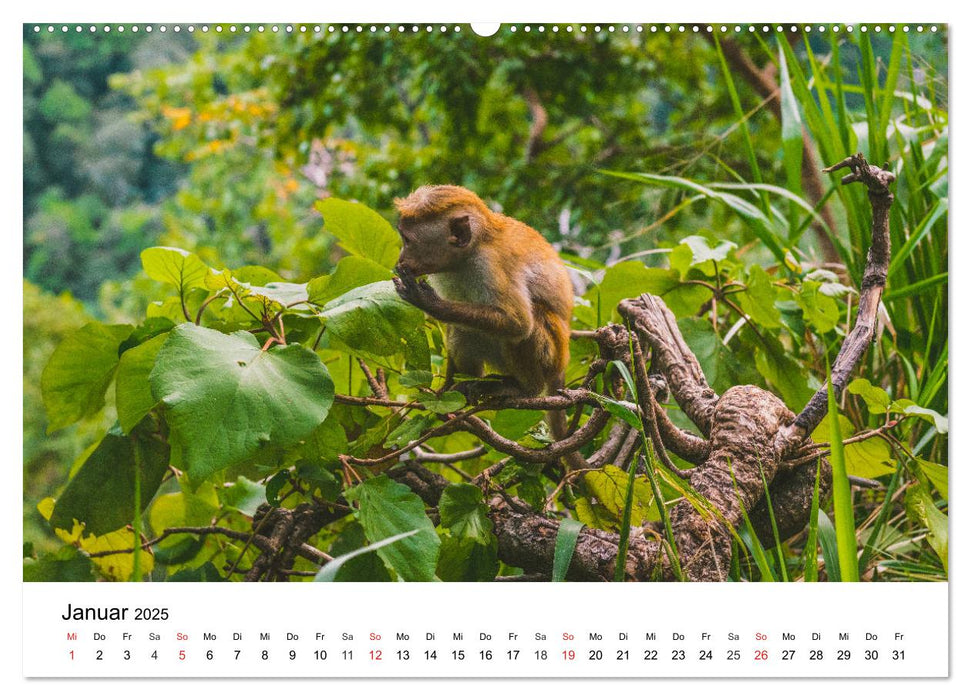 Sri Lanka auf der Spur - Tiere, Hochland und Küste (CALVENDO Premium Wandkalender 2025)