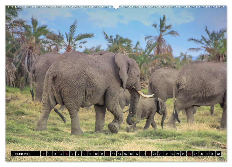 Afrika, eine Reise durch den schwarzen Kontinent (CALVENDO Wandkalender 2025)