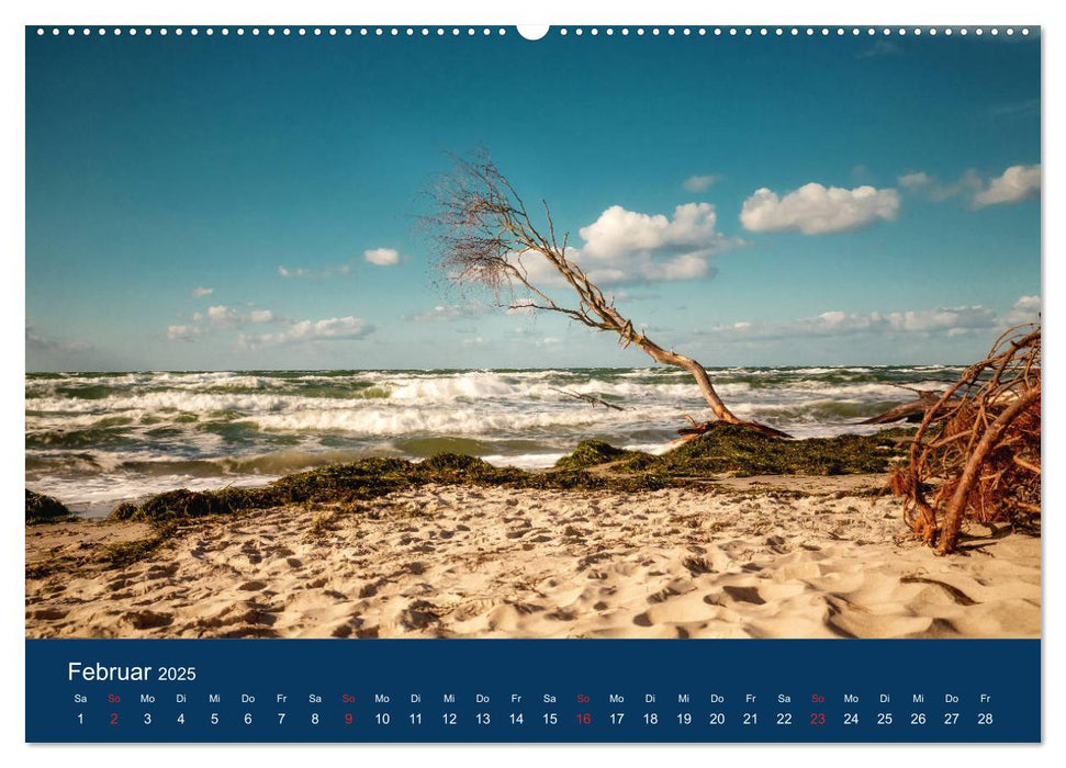 Ostseezauber (CALVENDO Premium Wandkalender 2025)