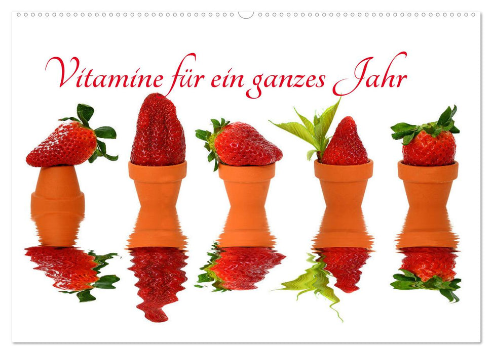 Vitamine für ein ganzes Jahr (CALVENDO Wandkalender 2025)