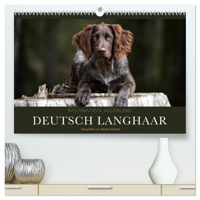 Faszination Jagdhund - Deutsch Langhaar (CALVENDO Premium Wandkalender 2025)