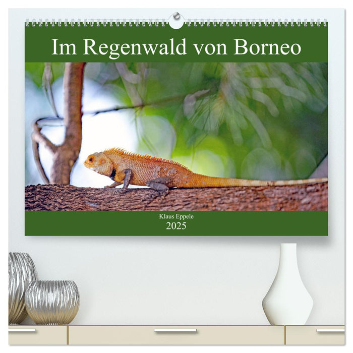 Im Regenwald von Borneo (CALVENDO Premium Wandkalender 2025)