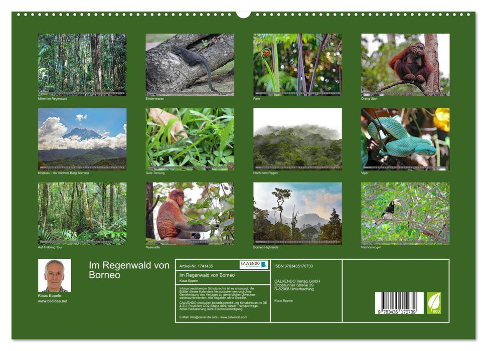 Im Regenwald von Borneo (CALVENDO Premium Wandkalender 2025)