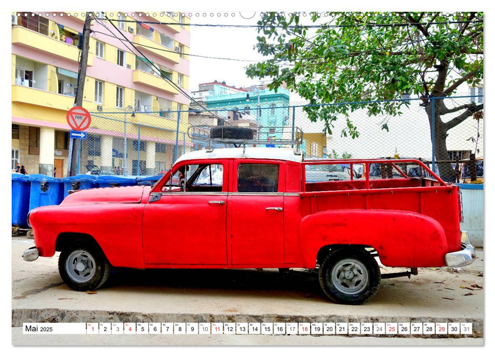 Dodge Pickups - Amerikas legendäre Lastenesel (CALVENDO Wandkalender 2025)