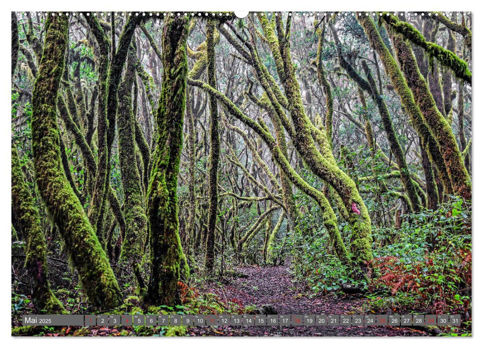 Wandern auf La Gomera (CALVENDO Premium Wandkalender 2025)