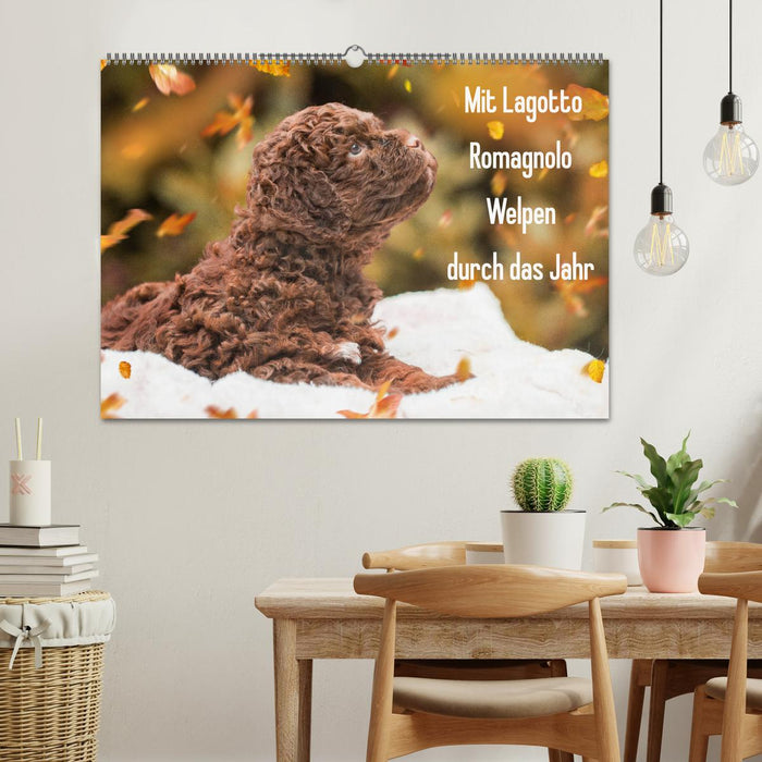 Mit Lagotto Romagnolo Welpen durch das Jahr (CALVENDO Wandkalender 2025)