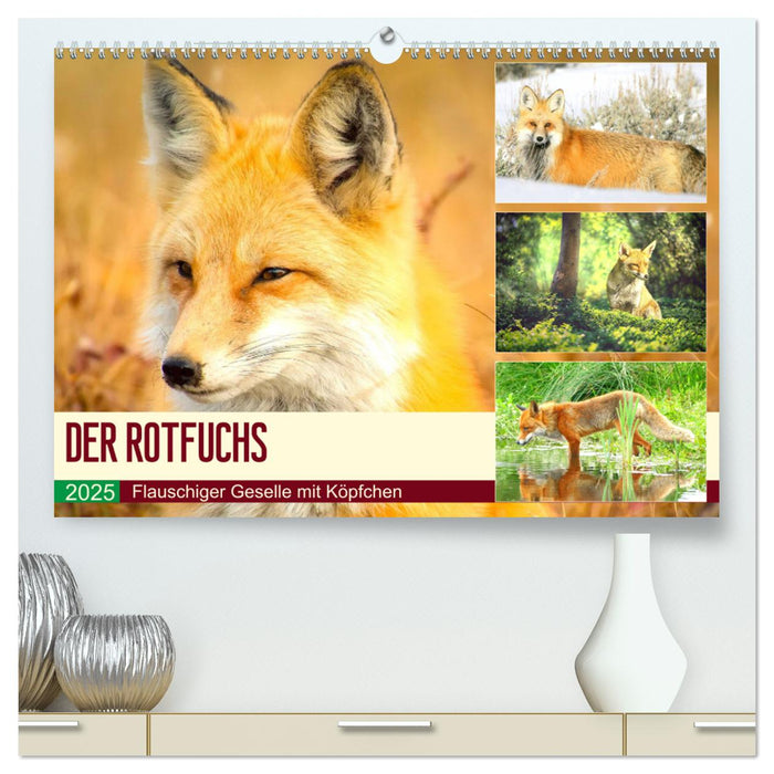 Der Rotfuchs. Flauschiger Geselle mit Köpfchen (CALVENDO Premium Wandkalender 2025)