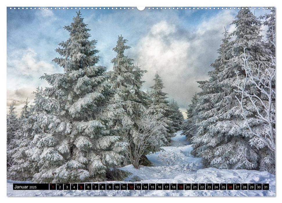 Wilde Wälder und Alleen im Herzen Mitteldeuschlands (CALVENDO Premium Wandkalender 2025)