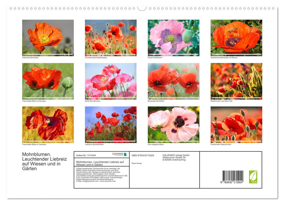 Mohnblumen. Leuchtender Liebreiz auf Wiesen und in Gärten (CALVENDO Premium Wandkalender 2025)