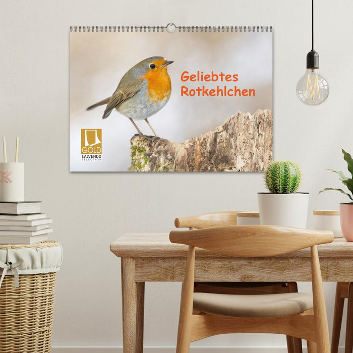 Geliebtes Rotkehlchen (CALVENDO Wandkalender 2025)