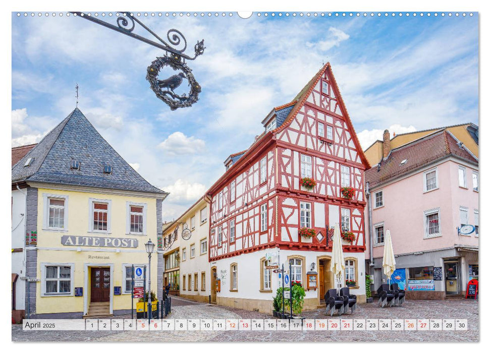 Alzey Impressionen (CALVENDO Premium Wandkalender 2025)