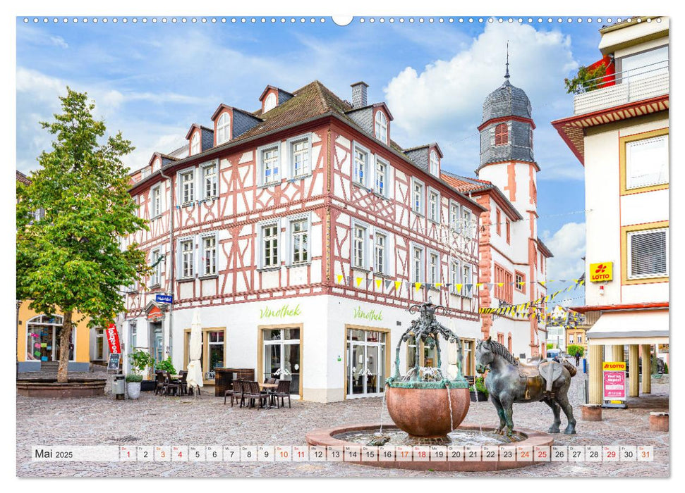 Alzey Impressionen (CALVENDO Premium Wandkalender 2025)