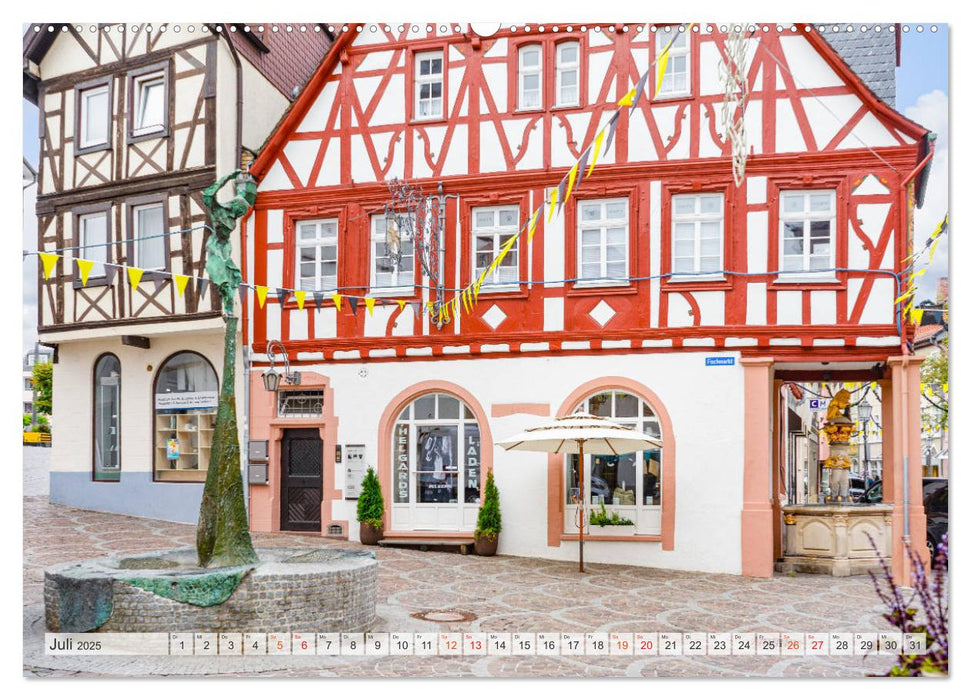 Alzey Impressionen (CALVENDO Premium Wandkalender 2025)