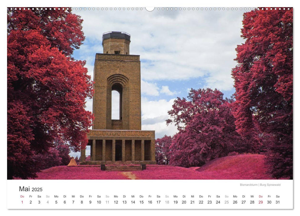 Cottbus und seine Umgebung in Infrarot (CALVENDO Premium Wandkalender 2025)