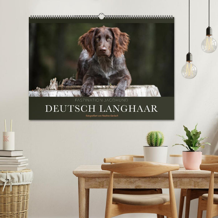 Faszination Jagdhund - Deutsch Langhaar (CALVENDO Wandkalender 2025)