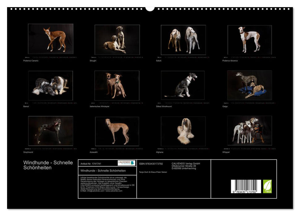 Windhunde - Schnelle Schönheiten (CALVENDO Premium Wandkalender 2025)