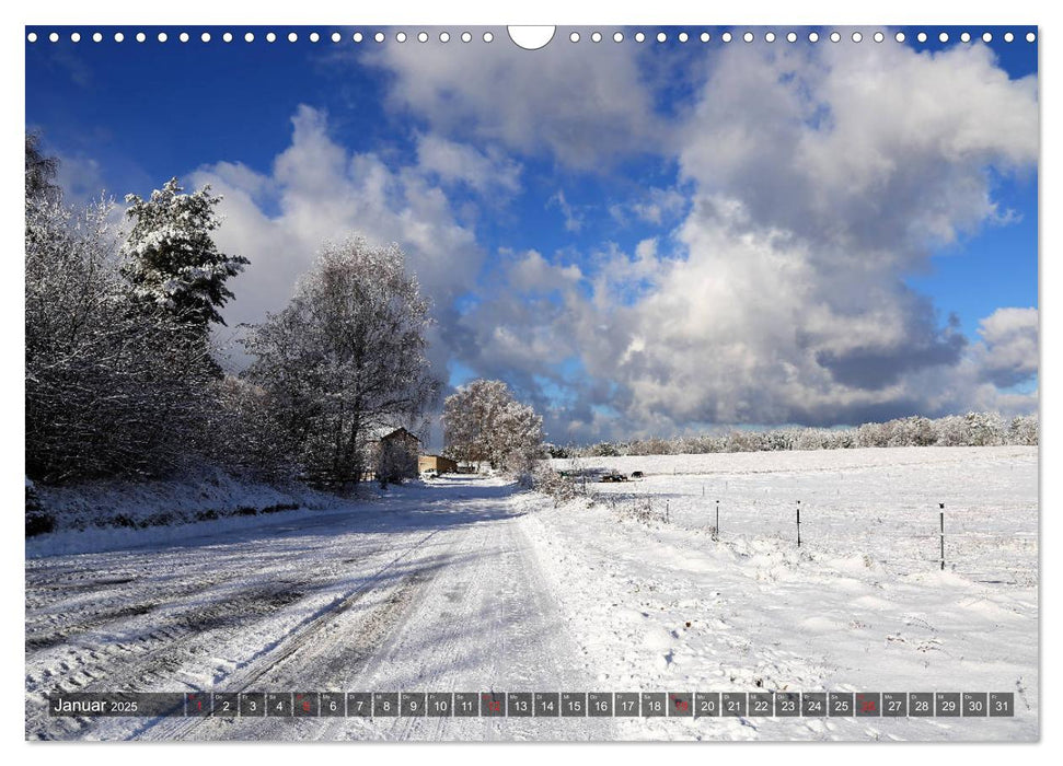 Jahreskalender der Pfalz (CALVENDO Wandkalender 2025)