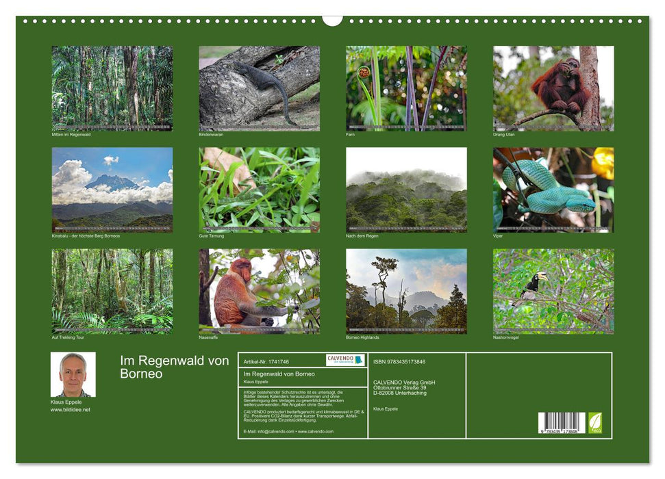 Im Regenwald von Borneo (CALVENDO Wandkalender 2025)