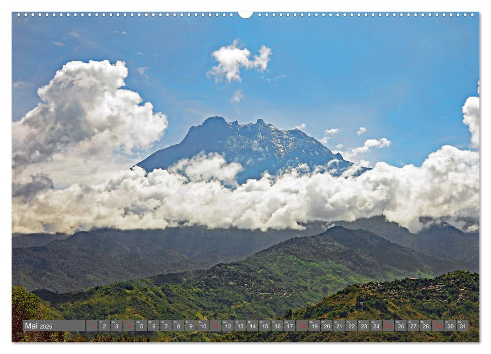 Im Regenwald von Borneo (CALVENDO Wandkalender 2025)