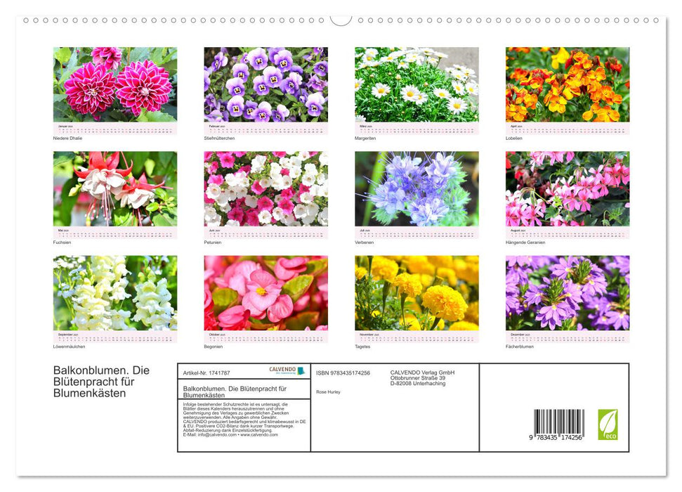 Balkonblumen. Die Blütenpracht für Blumenkästen (CALVENDO Premium Wandkalender 2025)