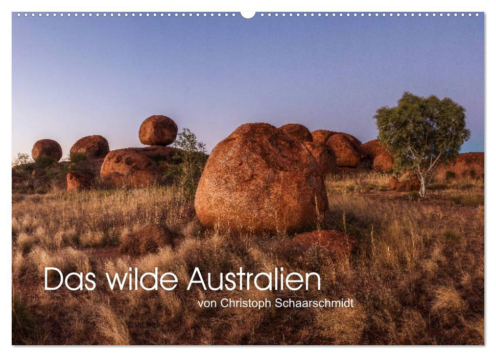 Das wilde Australien (CALVENDO Wandkalender 2025)