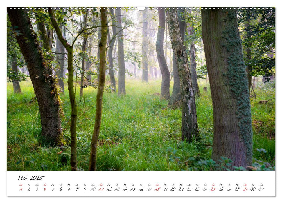 Mein Fischland! Unterwegs auf dem Darß (CALVENDO Wandkalender 2025)