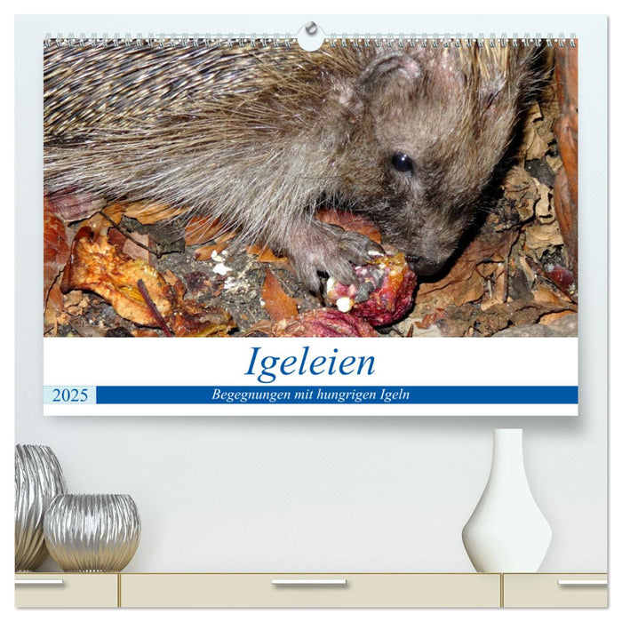 Igeleien - Begegnungen mit hungrigen Igeln (CALVENDO Premium Wandkalender 2025)