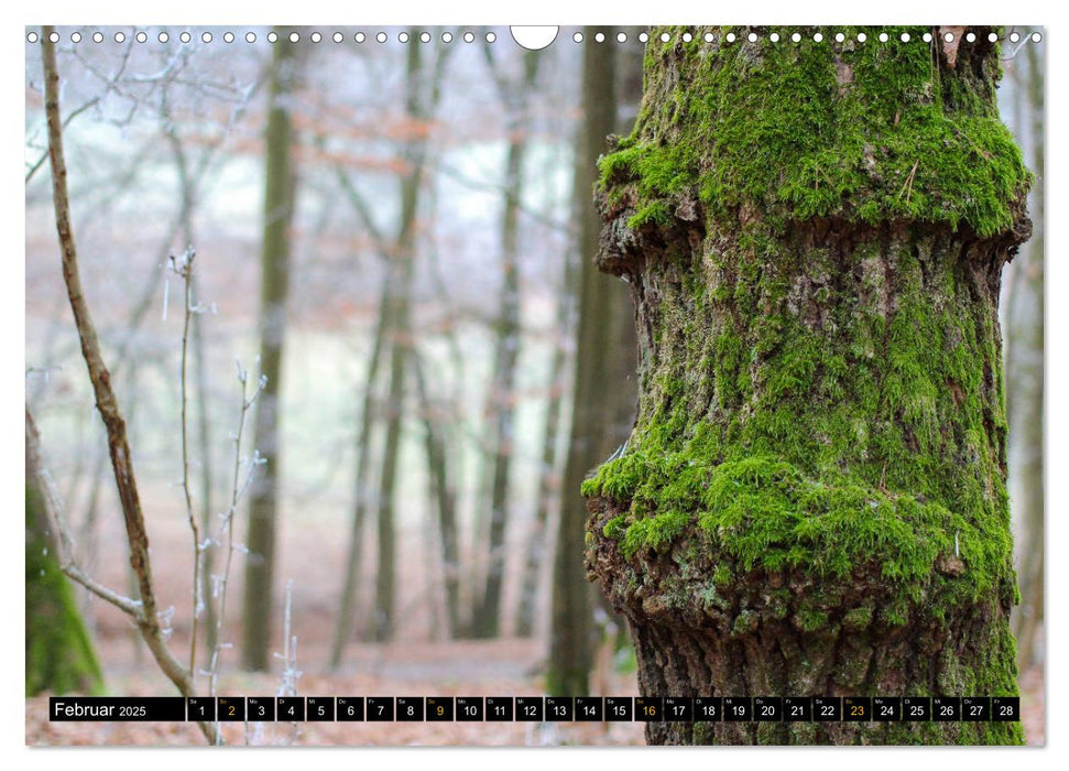 Magische Waldwesen (CALVENDO Wandkalender 2025)