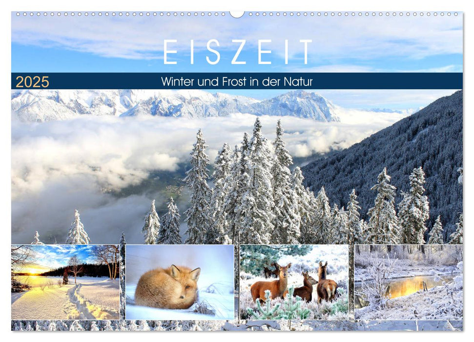 Eiszeit. Winter und Frost in der Natur (CALVENDO Wandkalender 2025)