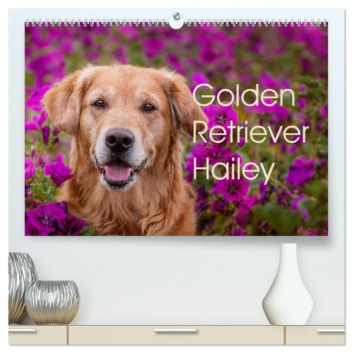 Golden Retriever Hailey Fotokalender (CALVENDO Premium Wandkalender 2025)