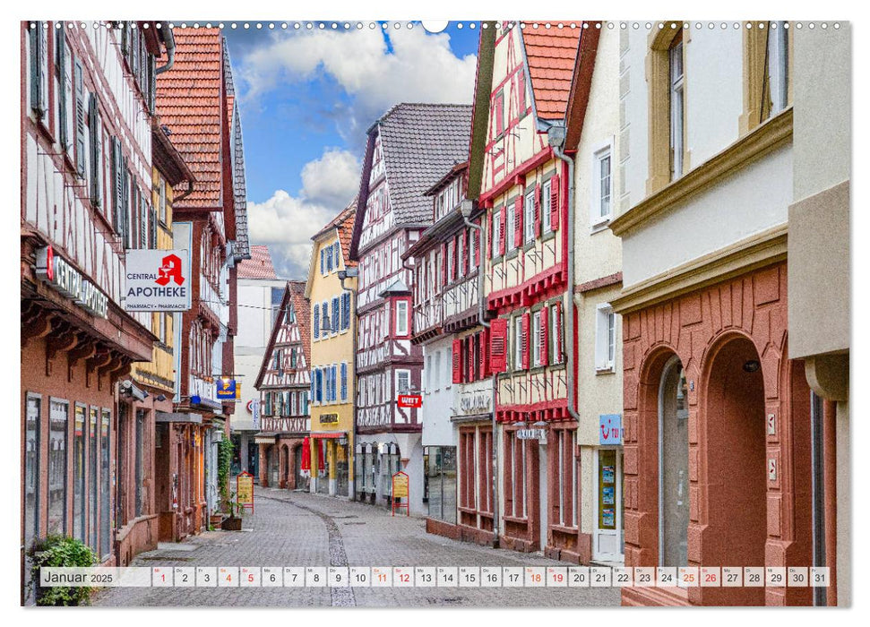 Mosbach Impressionen (CALVENDO Premium Wandkalender 2025)