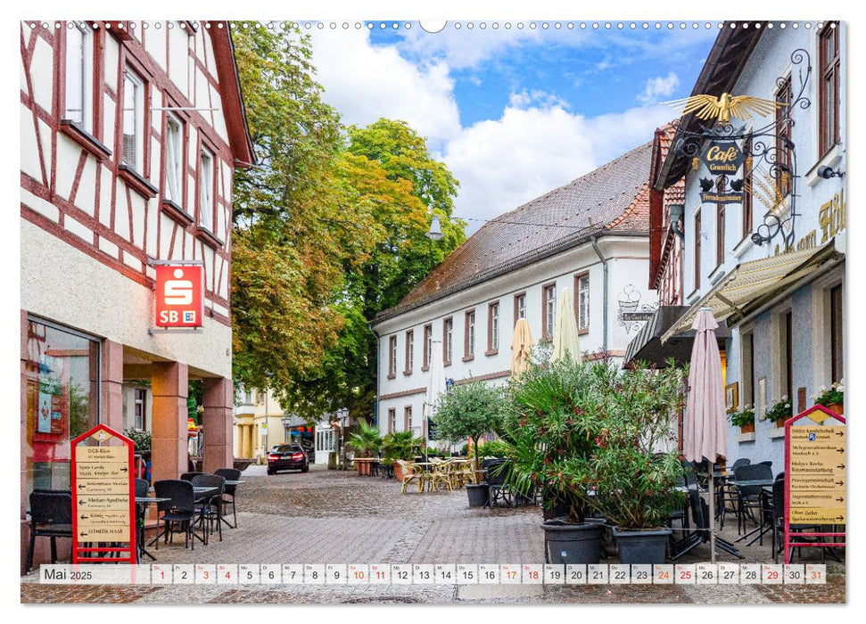 Mosbach Impressionen (CALVENDO Premium Wandkalender 2025)